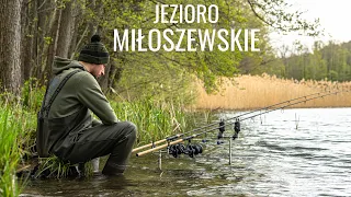 WIELKA PRZEGRANA NA ZAWODACH KARPIOWYCH / JEZIORO MIŁOSZEWSKIE