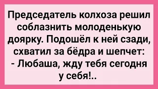 Председатель Колхоза Решил Соблазнить Доярку! Сборник Свежих Смешных Жизненных Анекдотов!