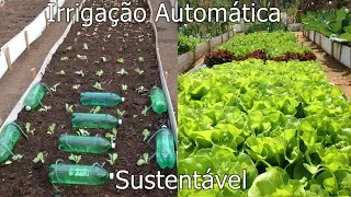 Sistema de Irrigação Automática por Gotejamento para Horta usando Garrafas Pet e Barbante 2