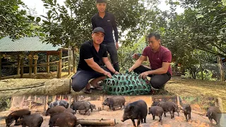 Customers from big cities come to Jhony's farm to buy wild pigs