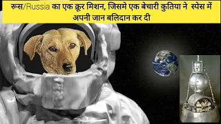 बेचारी Laika के साथ Space में आखिर हुआ क्या? What Happened to Laika in Space?