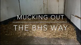 How to muck out a straw stable for beginners | BHS grooms career pathway guide