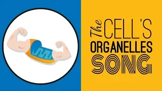 The Cell's Organelles SONG | Memorize the Parts of the Cell!