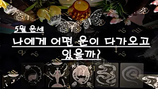 [타로/5월운세] 나에게 어떤 운이 다가오고 있을까?