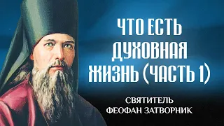 Что есть духовная жизнь и как на нее настроиться (Ч1) — свт. Феофан Затворник