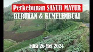 KAWASAN PERKEBUNAN KUMELEMBUAI & RURUKAN PENGHASIL AGRO BISNIS DI SULAWESI UTARA