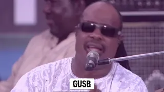 Stevie Wonder - Superstition (Gusb Remix)