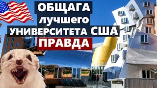 ОБЩАГА MIT - лучшего Американского Университета