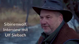 Sibirienwolf. Interview mit Ulf Siebach