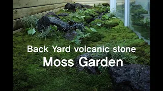 Making A Back Yard Volcanic Stone Moss Garden