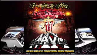 Palomitas De Maiz🔥Estreno 2021-Exito Fania 97(Grupo Chavos MX) Organización Sangre Sonidera