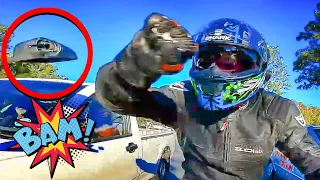 BIKER GETS HIT AFTER MIRROR SMASH | MOTORCYCLISTS vs STUPID & ANGRY PEOPLE 2021