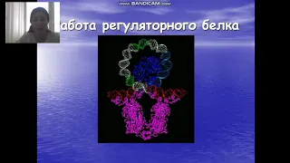 Генетика Микроорганизмов