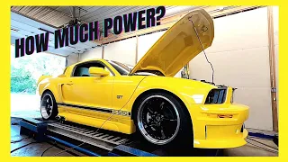 2006 Ford Mustang 4.6 Dyno | Bolt On 3v | Dyno Review