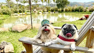 Cabanas Portal da Serra, tranquilo, sossegado, aceita pets e tem ótima gastronomia