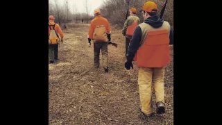 2016 Illinois pheasant season