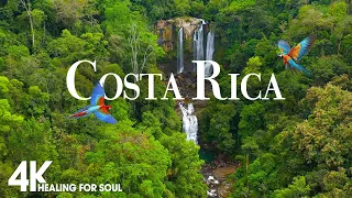 COSTA RICA 4K UHD - Exploring The Wild Side Of Costa Rica's Landscapes - 4K Video ULTRA HD