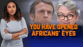 Former Economic Minister Of France Blames President Macron For Waking Up Africans