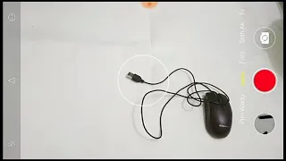 membuat animasi stopmotion mouse bergerak | kelasanimasi.com