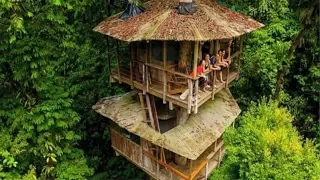 Our Jungle Treehouse in Costa Rica