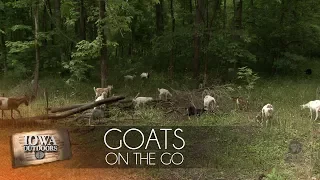 Goats on the Go