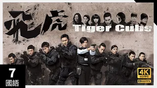 #TVB Drama Tiger Cubs #飞虎 4K 60FPS  7/13｜少年犯｜宣萱 罗仲谦 王浩信 黄智雯 马德钟 主演｜TVB  国语中字 #HK