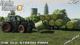 Mowing grass and baling hay | Animals on The Old Stream Farm | Farming Simulator 19 | Episode 15