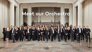 Meet our Orchestra