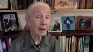 Dr. Jane Goodall, DBE at WCN's Virtual Spring Expo