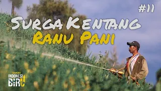SURGA KENTANG RANU PANI - Ekspedisi Indonesia Biru #11