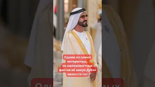 МАЛОИЗВЕСТНАЯ правда о шейхе Дубая #оаэ