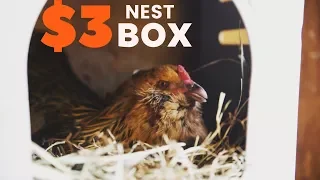 How To Make a Chicken Nest Box for $3