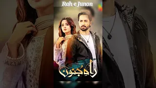 Rah-e-Junoon Drama Actor Danish Taimoor Best Dramas