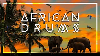 AFRICAN DRUM MUSIC • Tribal Beats • Shaman Dance • Unleash your Primal Self