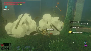 [Zelda BotW] Middle Trials Underground Floor 5 Guide