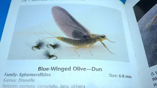 Tying a CDC Blue Winged Olive with Davie McPhail