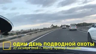 Один день подводной охоты в Австралии: Manly 27.10.2018