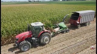 Chopping Corn Silage & Filling Silo with Massey Ferguson Tractors