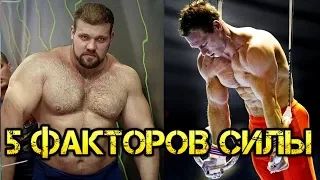 5 ФАКТОРОВ! От чего зависит СИЛА человека?