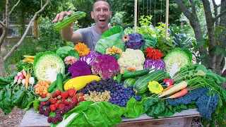 Astonishing Backyard Garden Harvest, Suburban Permaculture Food Forest