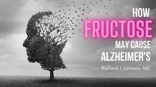 Alzheimer's - Diabetes of the Brain Caused by Fructose?