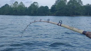 I THOUGHT I HOOKED A SHARK! (Fish that saved the day)