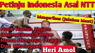 Petinju Indonesia Asal NTT‼️ Heri Amol Hook Kanan Kejam Dan Mematikan Pukul Lawan Sampe Koma‼️