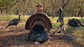 California Rio Grande Turkey Bowhunt