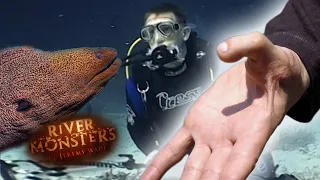 When A Giant Moray Attacks: The Extraordinary Journey of a Toe-to-Thumb Transplant" | River Monsters