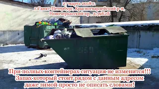 Мусор и грязь во дворах Санкт-Петербурга. Garbage and dirt on the streets of St. Petersburg.