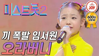 [미스트롯2] 흥과 끼가 폭발하는 무대! 임서원 '오라버니' #TVCHOSUNJOY #TV조선조이