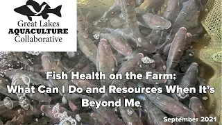 Fish Health on the Farm: What Can I Do and Resources When It’s Beyond Me September 2021