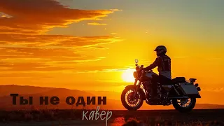 Ты не один, кавер. Беркут