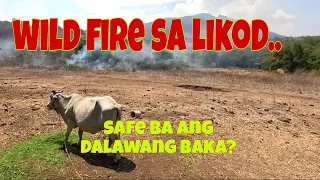 Matuluyan na ang mga tuyong damo sa lokod ng farm | Lumaki ang sunog